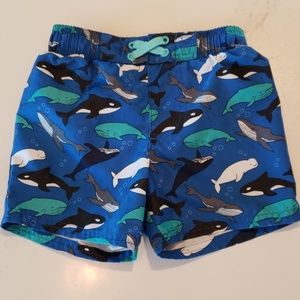 Toddler swim trunks